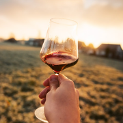 GENERACIÓN VINO