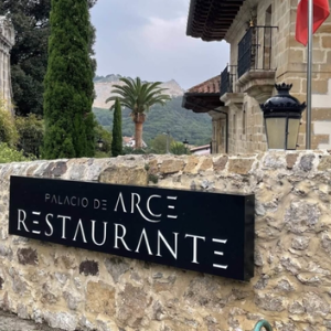 GASTRO HOTEL PALACIO DE ARCE