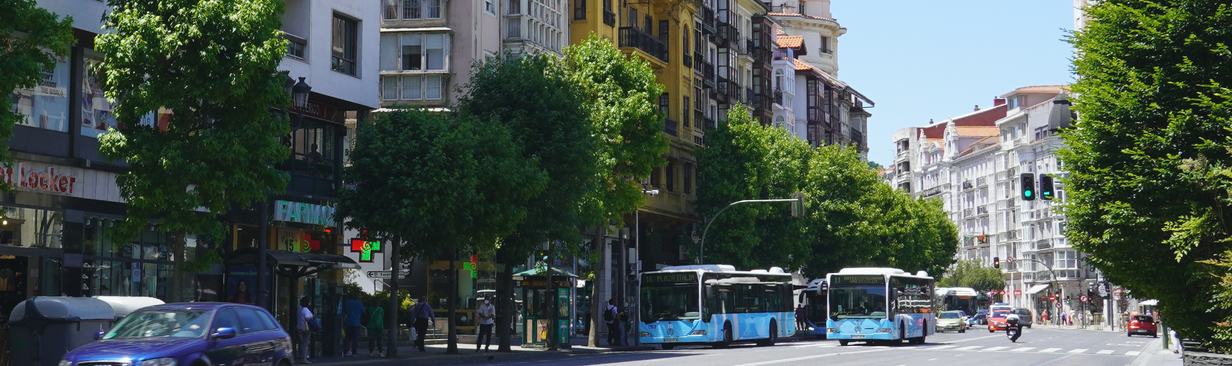 bus