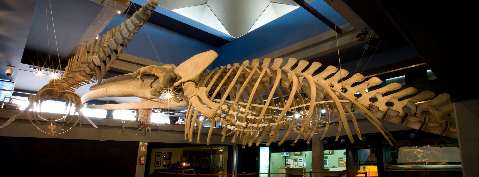Museo Marítimo